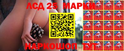 СК Кингисепп