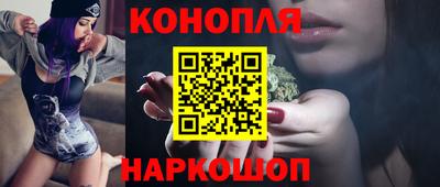 СК Кингисепп