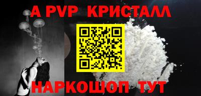 СК Кингисепп