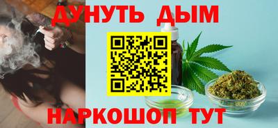 СК Кингисепп