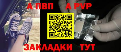 СК Кингисепп