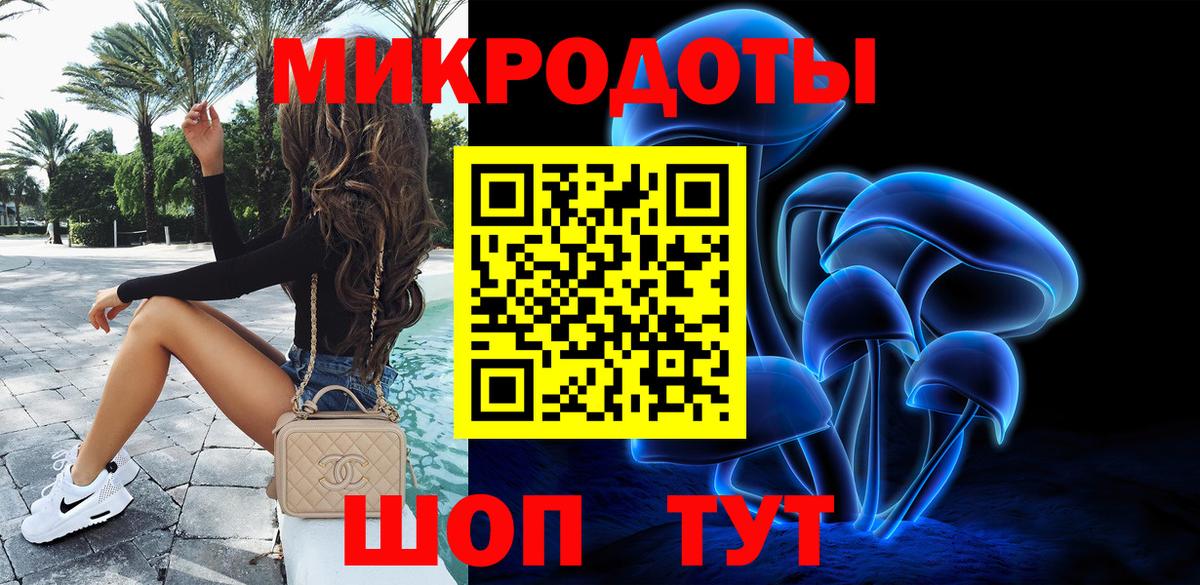 Галлюциногенные грибы Psilocybe Карпинск